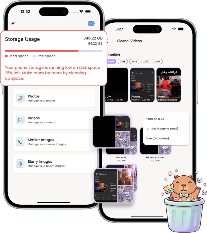 Video cleaner interface showing large files